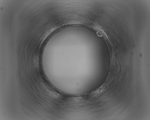 X0000076090108200610061651