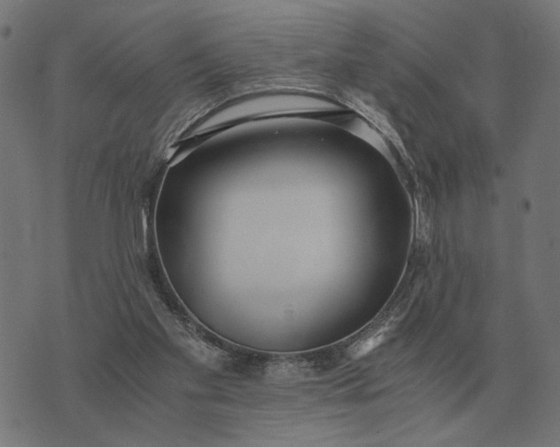 X0000076090109200610061651