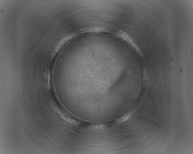 X0000076090110200610061651