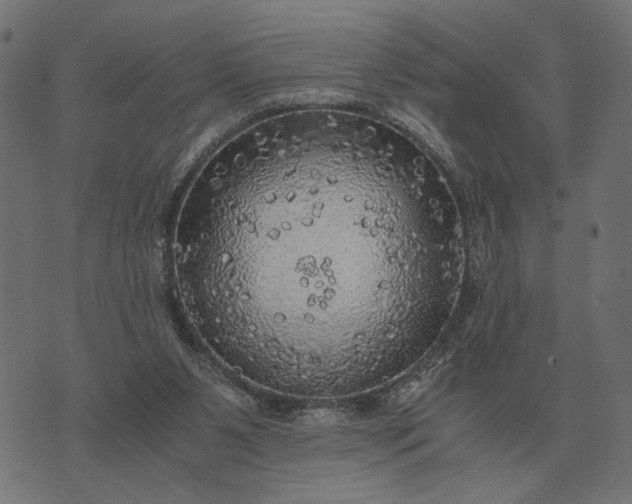 X0000076090111200610061651