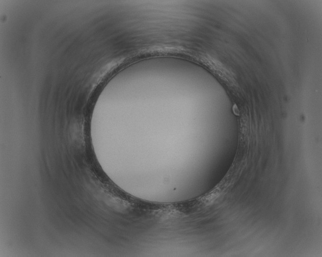 X0000076090112200610061651