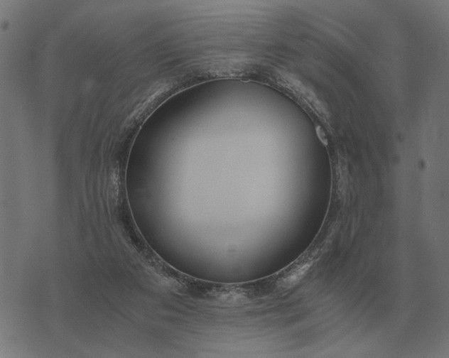 X0000076090113200610061651