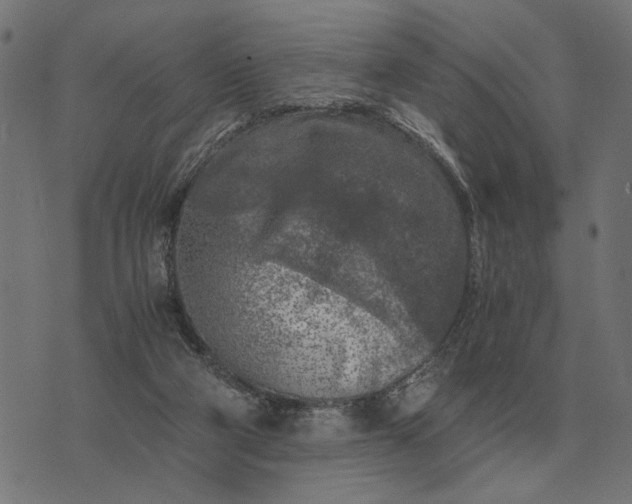 X0000076090114200610061651