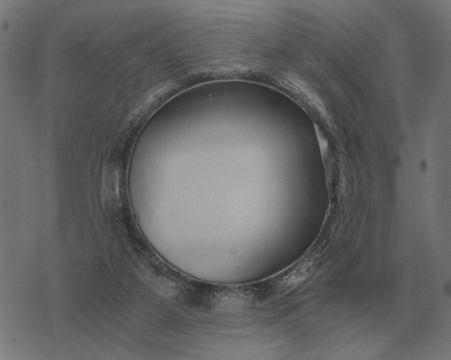 X0000076090115200610061651