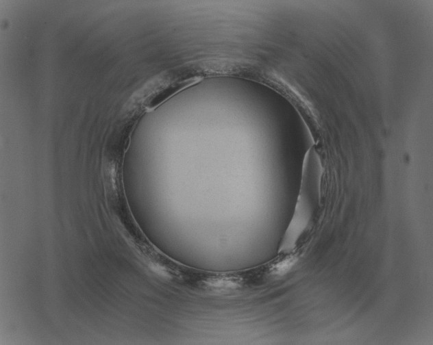 X0000076090117200610061651