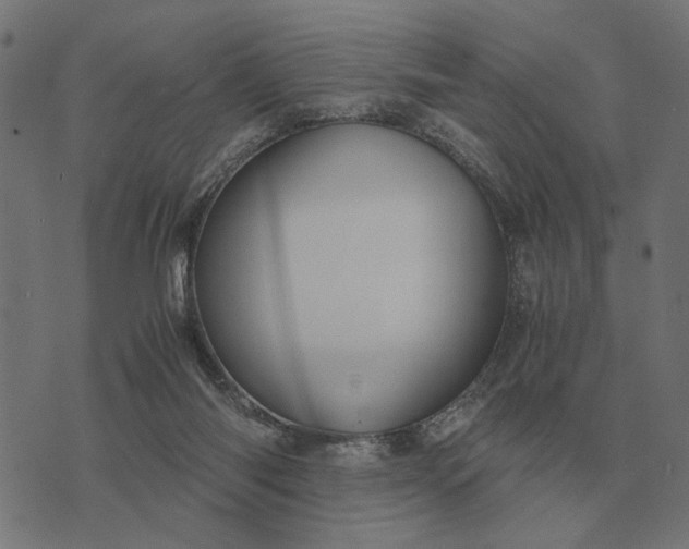 X0000076090118200610061651