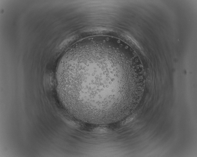 X0000076090119200610061651