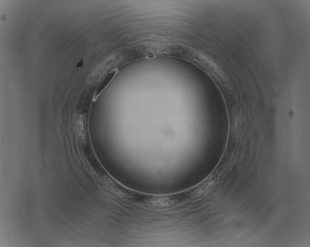 X0000076090121200610061651