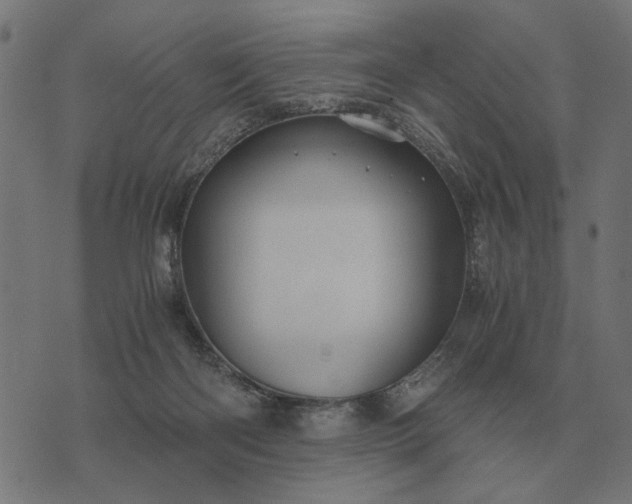 X0000076090122200610061651