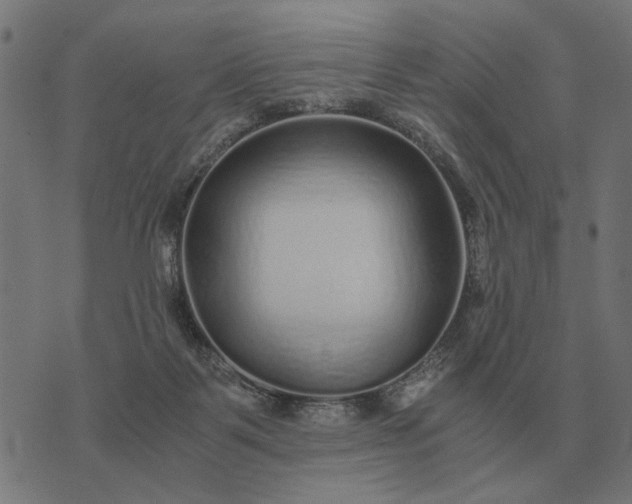 X0000076090123200610061651