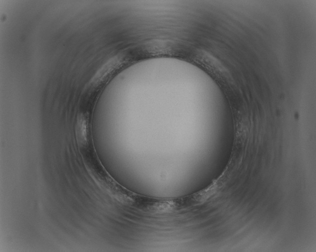 X0000076090124200610061651