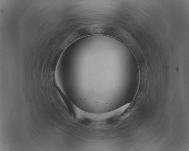 X0000076090125200610061651