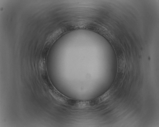 X0000076090126200610061651