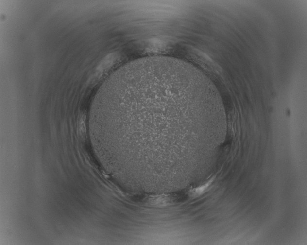 X0000076090127200610061651