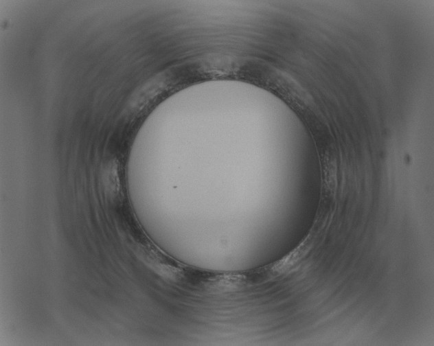 X0000076090128200610061651