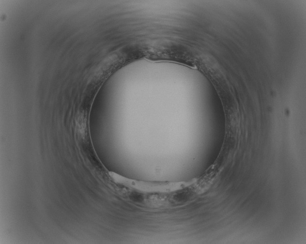 X0000076090129200610061651