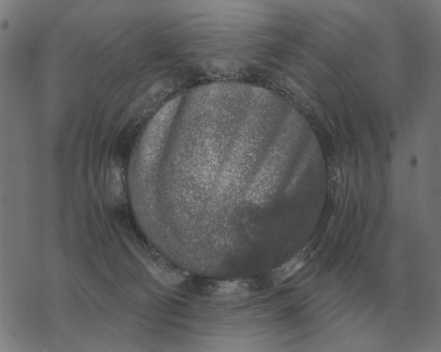 X0000076090130200610061651