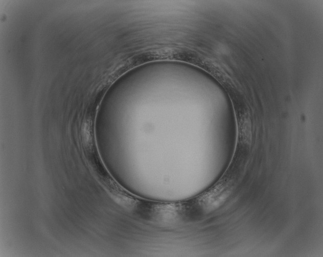 X0000076090131200610061650