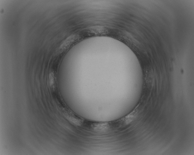 X0000076090132200610061650