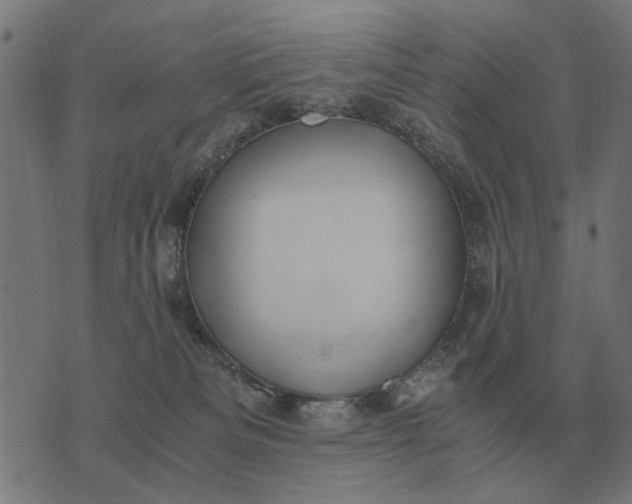 X0000076090133200610061650