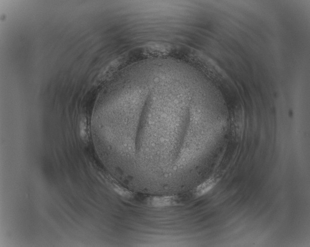 X0000076090134200610061650