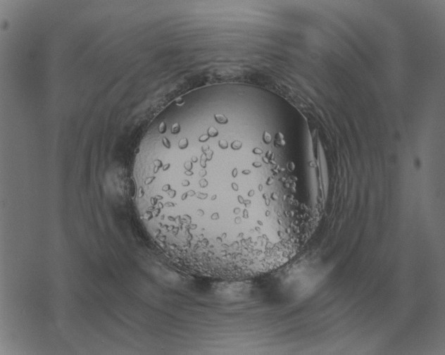 X0000076090135200610061650