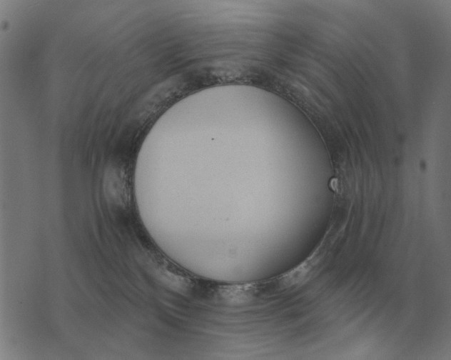 X0000076090136200610061650