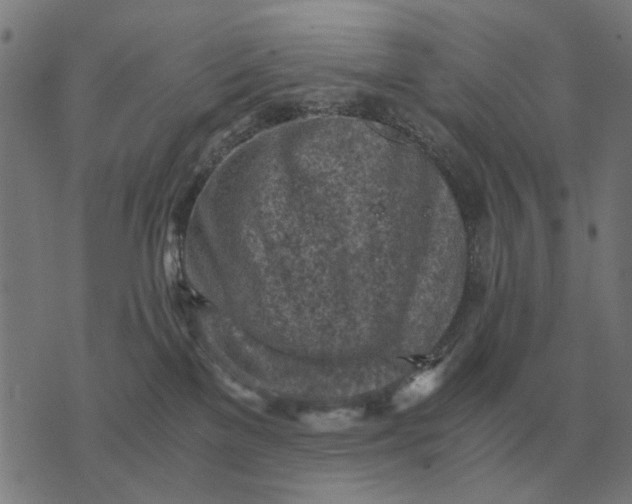 X0000076090137200610061650