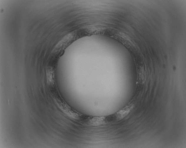 X0000076090138200610061650