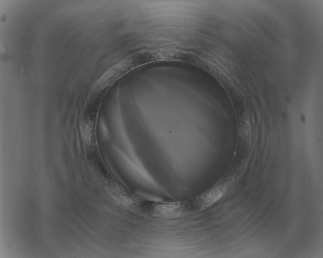 X0000076090139200610061650