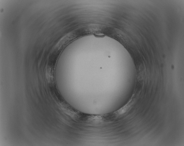 X0000076090140200610061650