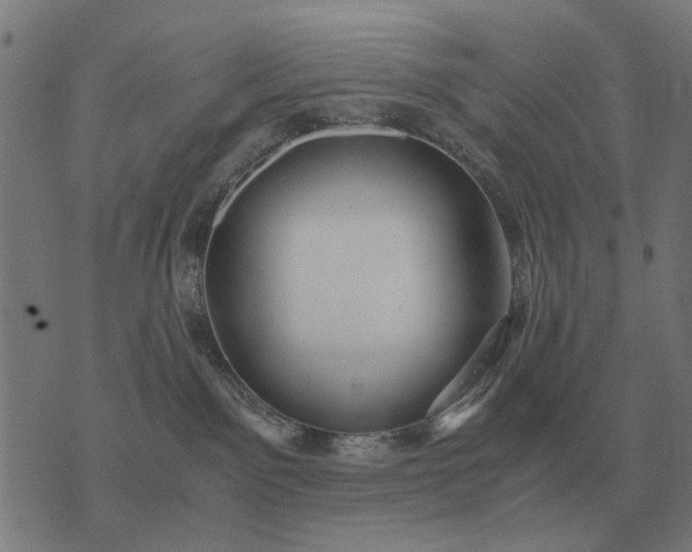 X0000076090141200610061650