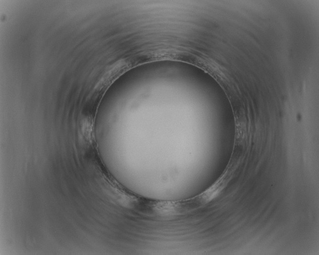 X0000076090142200610061650