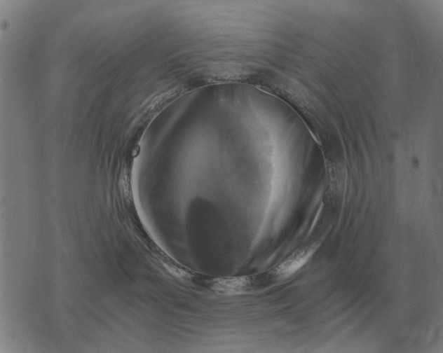 X0000076090143200610061650