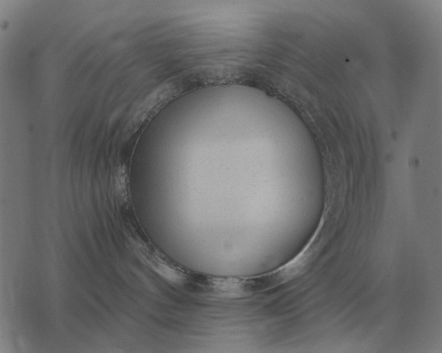 X0000076090144200610061650