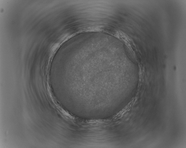 X0000076090145200610061650