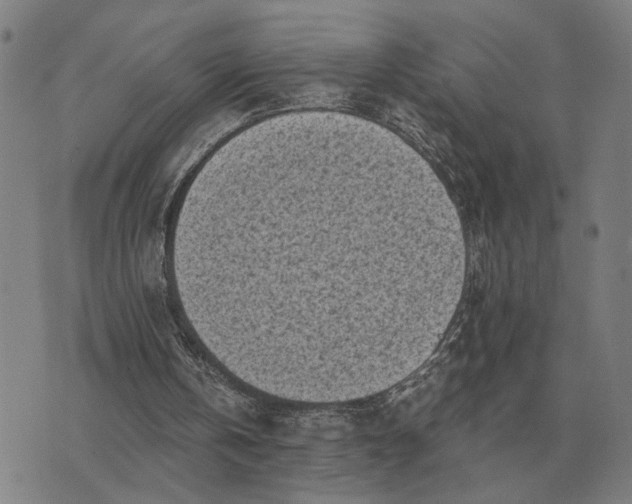 X0000076090146200610061650