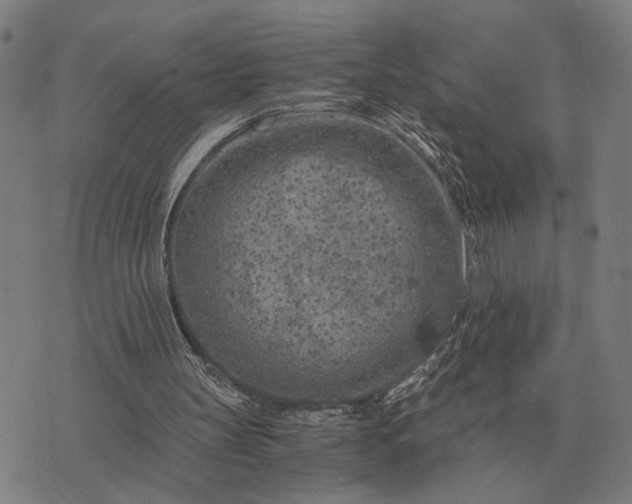 X0000076090147200610061650