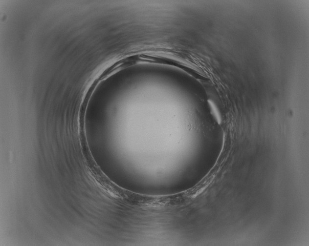 X0000076090148200610061650