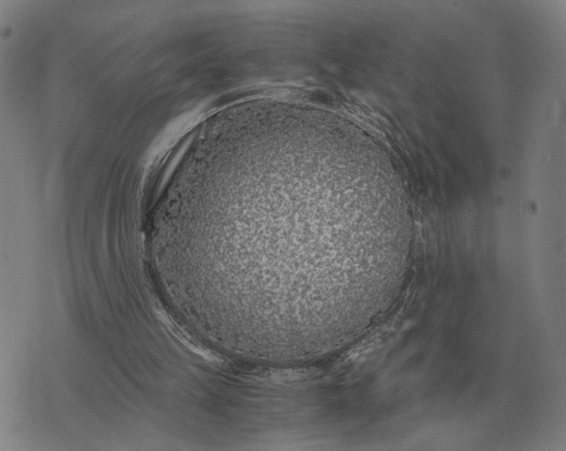 X0000076090149200610061650