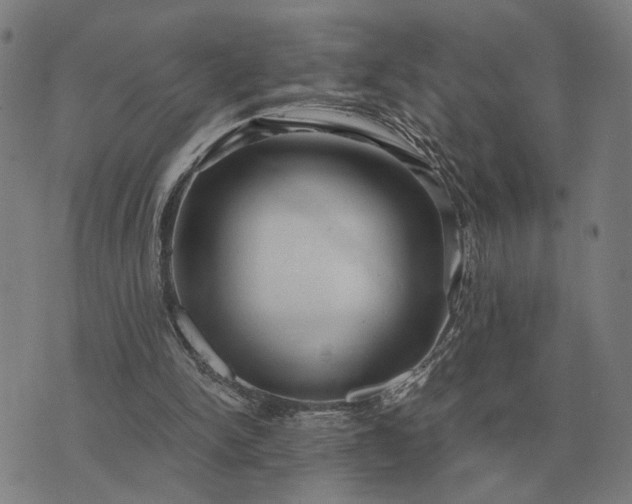 X0000076090150200610061650