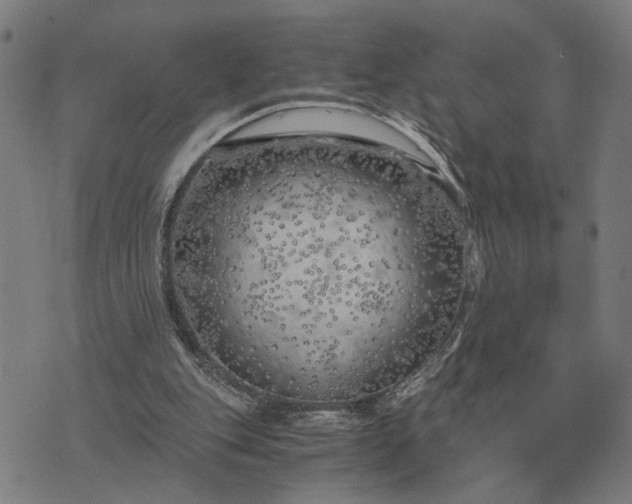 X0000076090151200610061650