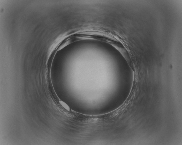 X0000076090152200610061650