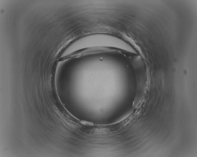 X0000076090154200610061650