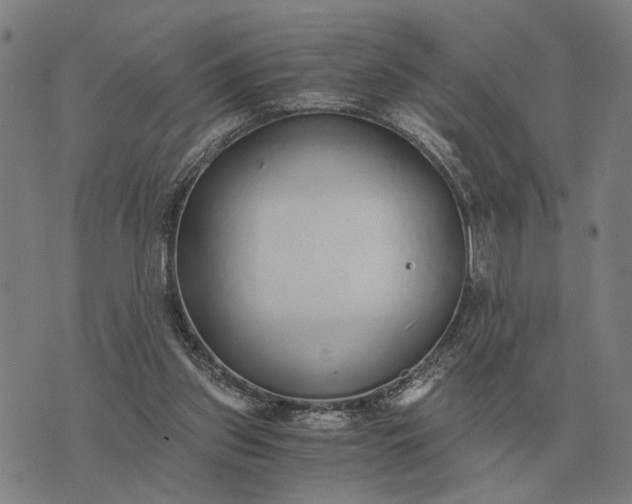 X0000076090157200610061650