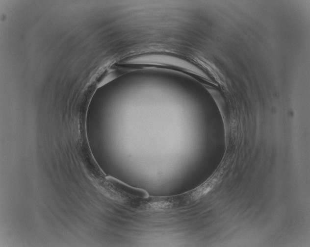 X0000076090158200610061650