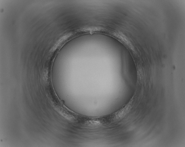 X0000076090159200610061650