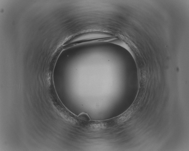 X0000076090160200610061650