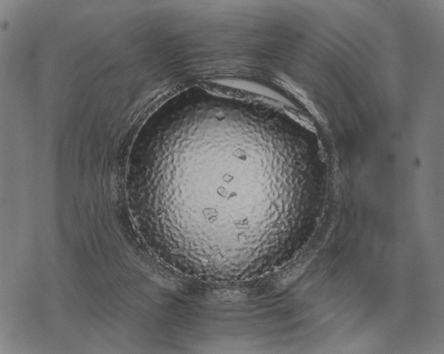 X0000076090161200610061650