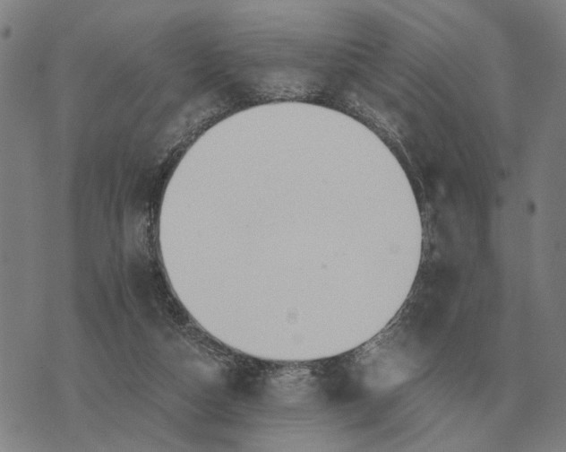 X0000076090162200610061650